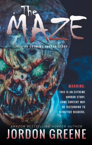 Cover of the book The Maze: An Extreme Horror Story by Lorenzo Sartori