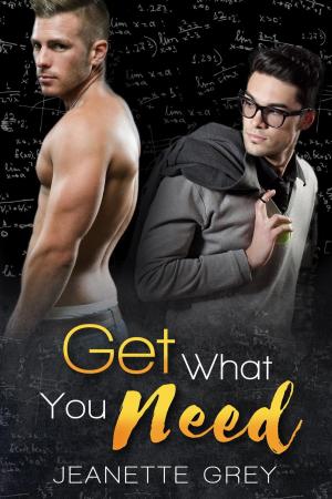 Cover of the book Get What You Need by M. Lee Prescott