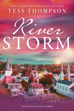 Cover of the book Riverstorm by Donna Anastasi