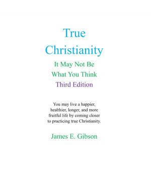 Cover of the book True Christianity by James Kweku Saah