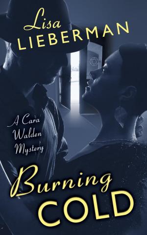 Cover of the book Burning Cold by Carrie Rubin