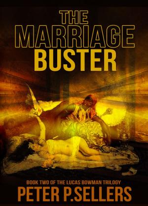 Book cover of The Marriage Buster