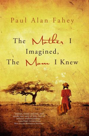 Book cover of The Mother I Imagined, The Mom I Knew