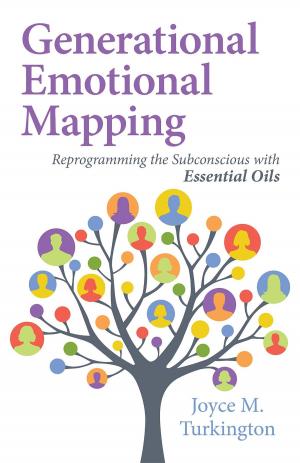 bigCover of the book Generational Emotional Mapping by 