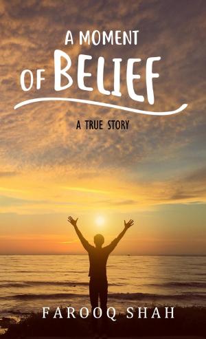 Cover of the book A Moment Of Belief by Stephen J O'Connor