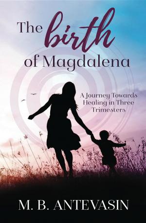 Cover of the book The Birth of Magdalena by Tadhg O'Flaherty