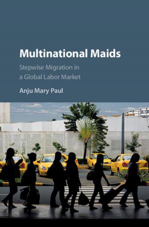 Cover of the book Multinational Maids by David Goodstein