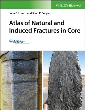 Cover of the book Atlas of Natural and Induced Fractures in Core by John A. Bower