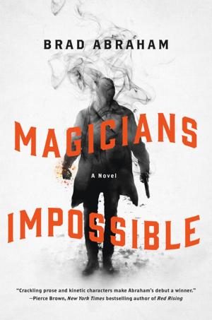 Cover of the book Magicians Impossible by Tricia Fields