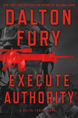 bigCover of the book Execute Authority by 
