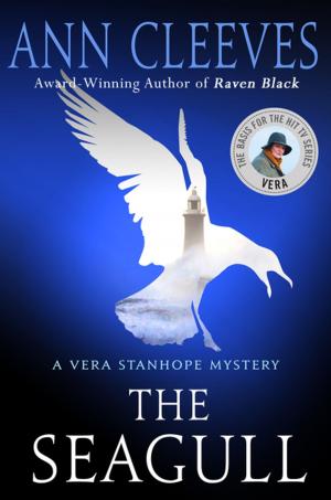 Cover of the book The Seagull by Jennifer Thompson-Cannino, Ronald Cotton, Erin Torneo