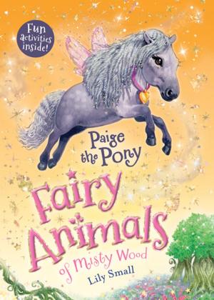 Cover of the book Paige the Pony by Andy Riley