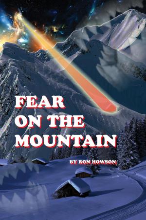 Book cover of Fear on The Mountain