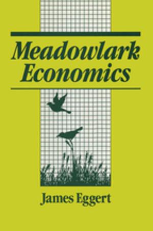 Cover of the book Meadowlark Economies: Work and Leisure in the Ecosystem by 