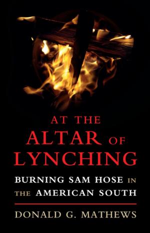 Cover of the book At the Altar of Lynching by Dominic Head