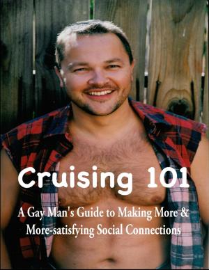 Cover of the book Cruising 101: A Gay Man’s Guide to Making More and More-satisfying Social Connections by Lindsey P