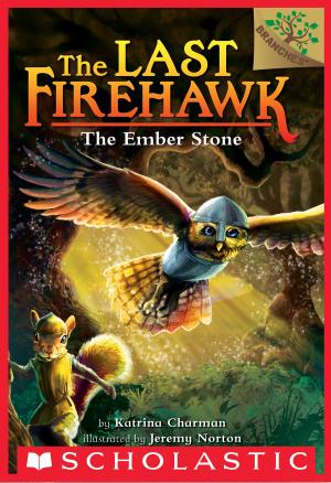 Cover of the book The Ember Stone: A Branches Book (The Last Firehawk #1) by Wendy Mass