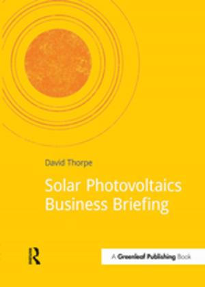 Cover of the book Solar Photovoltaics Business Briefing by Roelof van Straten