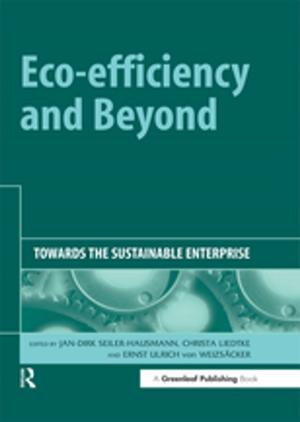bigCover of the book Eco-efficiency and Beyond by 