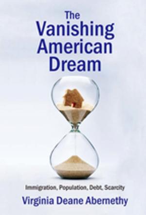 Cover of the book The Vanishing American Dream by Jeff Bridoux