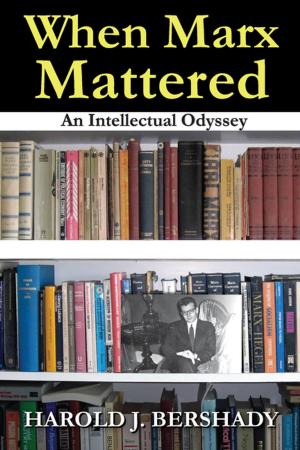 Cover of the book When Marx Mattered by Pauli Kaikkonen, Jorma Lehtovaara, Viljo Kohonen, Riitta Jaatinen