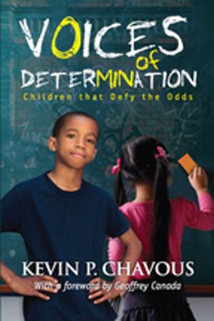 Cover of the book Voices of Determination by Luca Tateo