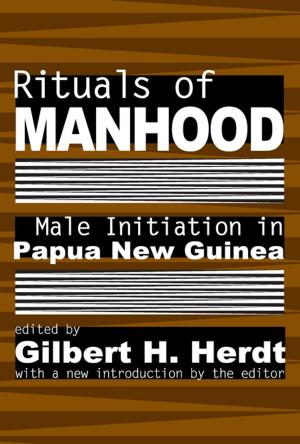 Cover of the book Rituals of Manhood by R.B.J. Walker