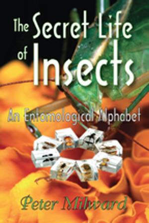 Book cover of The Secret Life of Insects