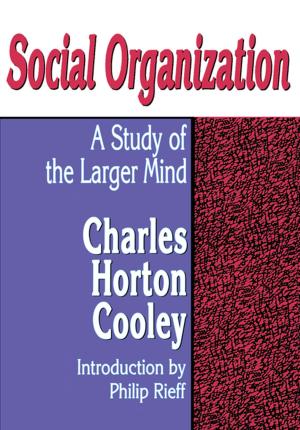 Cover of the book Social Organization by Eek-June Chung