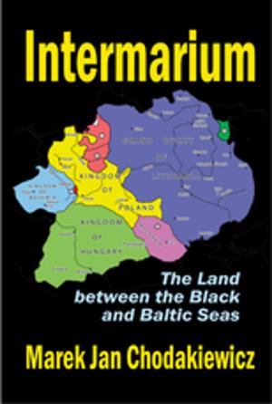 Cover of the book Intermarium by Colin McGinn