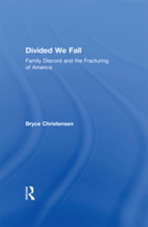 Cover of the book Divided We Fall by Kristin Lawler