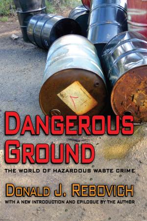 Cover of the book Dangerous Ground by Resa Azarmsa