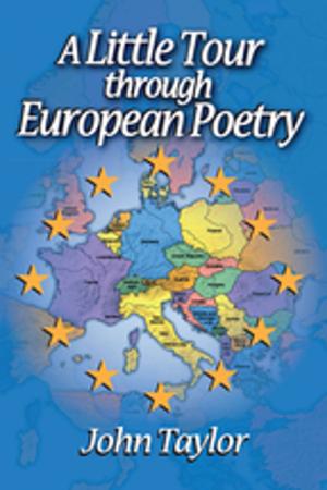 Book cover of A Little Tour Through European Poetry