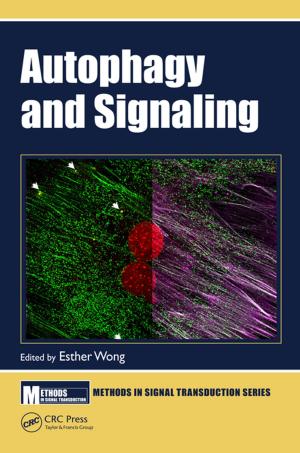 Cover of the book Autophagy and Signaling by Harold H. Prince