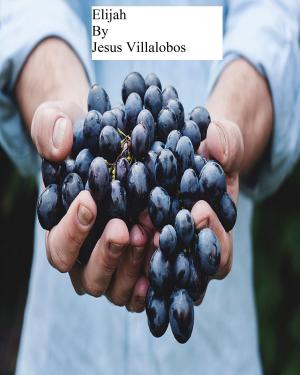 Cover of the book Elijah by Jesus Villalobos