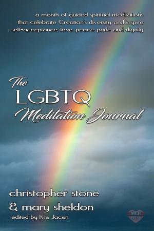 Cover of the book The LGBTQ Meditation Journal by S.J. Frost