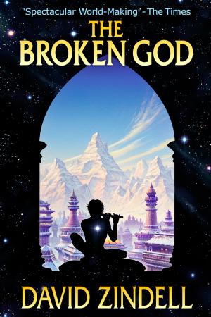 Cover of the book The Broken God by Anne Avery