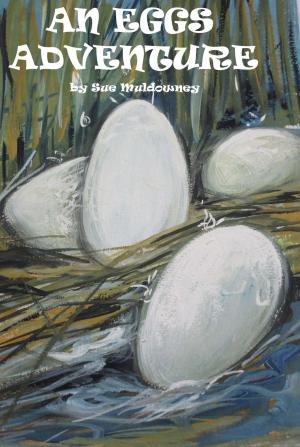 Book cover of An Egg's Adventure