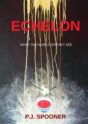 Cover of the book Echelon by Matthew David Carroll