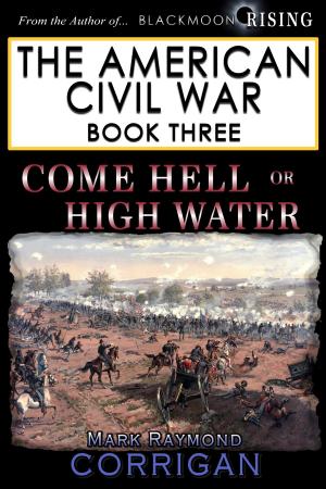 Cover of the book Come Hell or High Water by Bonnie Frankenberger