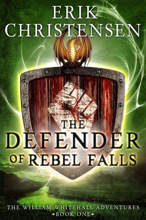 Cover of the book The Defender of Rebel Falls: A Medieval Science Fiction Adventure by David Stewart