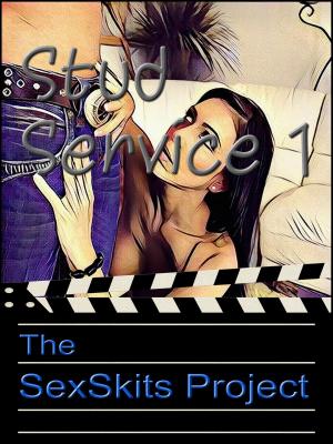 Cover of the book Stud Service 1 by The SexSkits Project