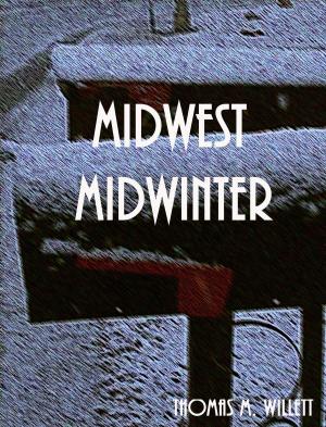 Cover of the book Midwest Midwinter by Daniel Lesueur