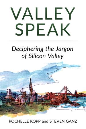Book cover of Valley Speak: Deciphering the Jargon of Silicon Valley