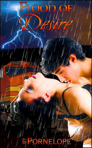 Cover of the book Flood Of Desire (Book 2 of "The Librarian’s Horny Assistant") by Anna Austin