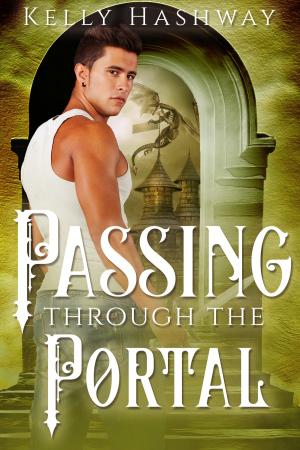 Book cover of Passing Through the Portal