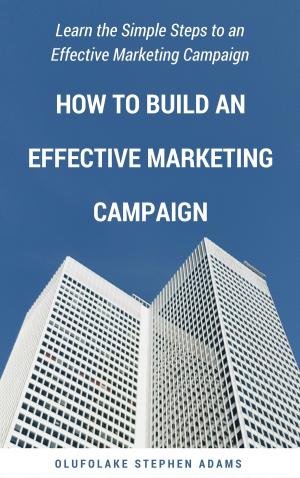 Cover of the book How to Build an Effective Marketing Campaign by Olufolake Stephen Adams