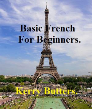 Book cover of Basic French For Beginners.