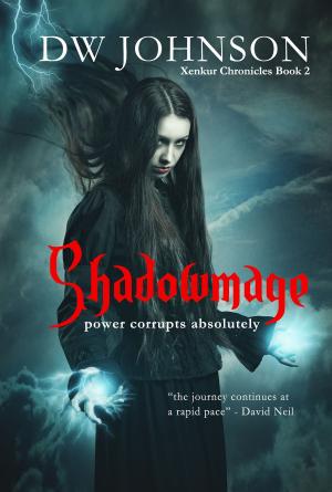 Cover of the book Shadowmage by Hannah Steenbock