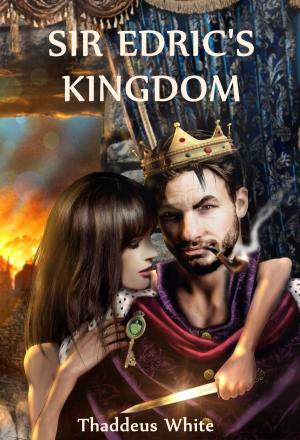 Cover of the book Sir Edric's Kingdom by Brigid Collins